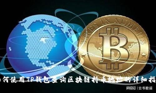 如何使用TP钱包查询区块链持币地址的详细指南