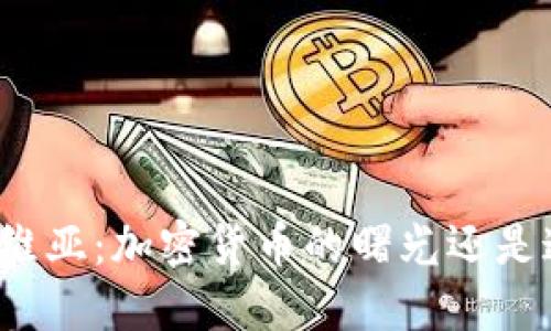 拉脱维亚：加密货币的曙光还是迷雾？