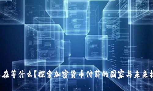 你还在等什么？探索加密货币付薪的国家与未来机遇！